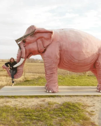 The Pink Elephant in DeForest, Wisconsin