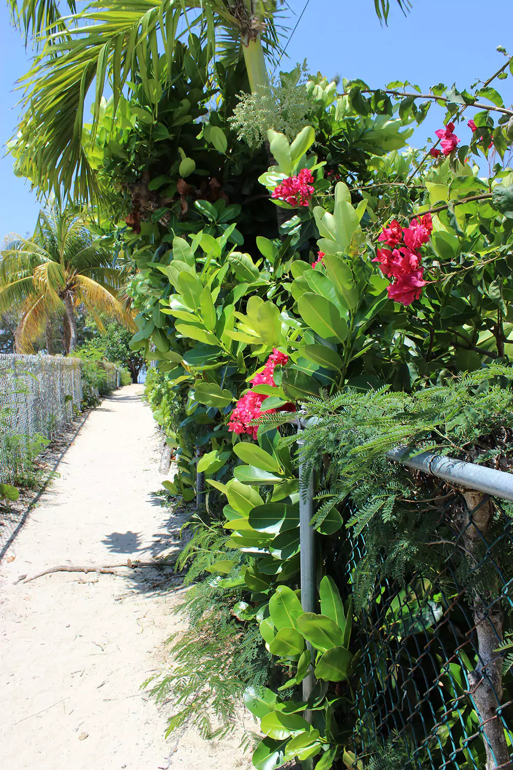 grand cayman beach path
