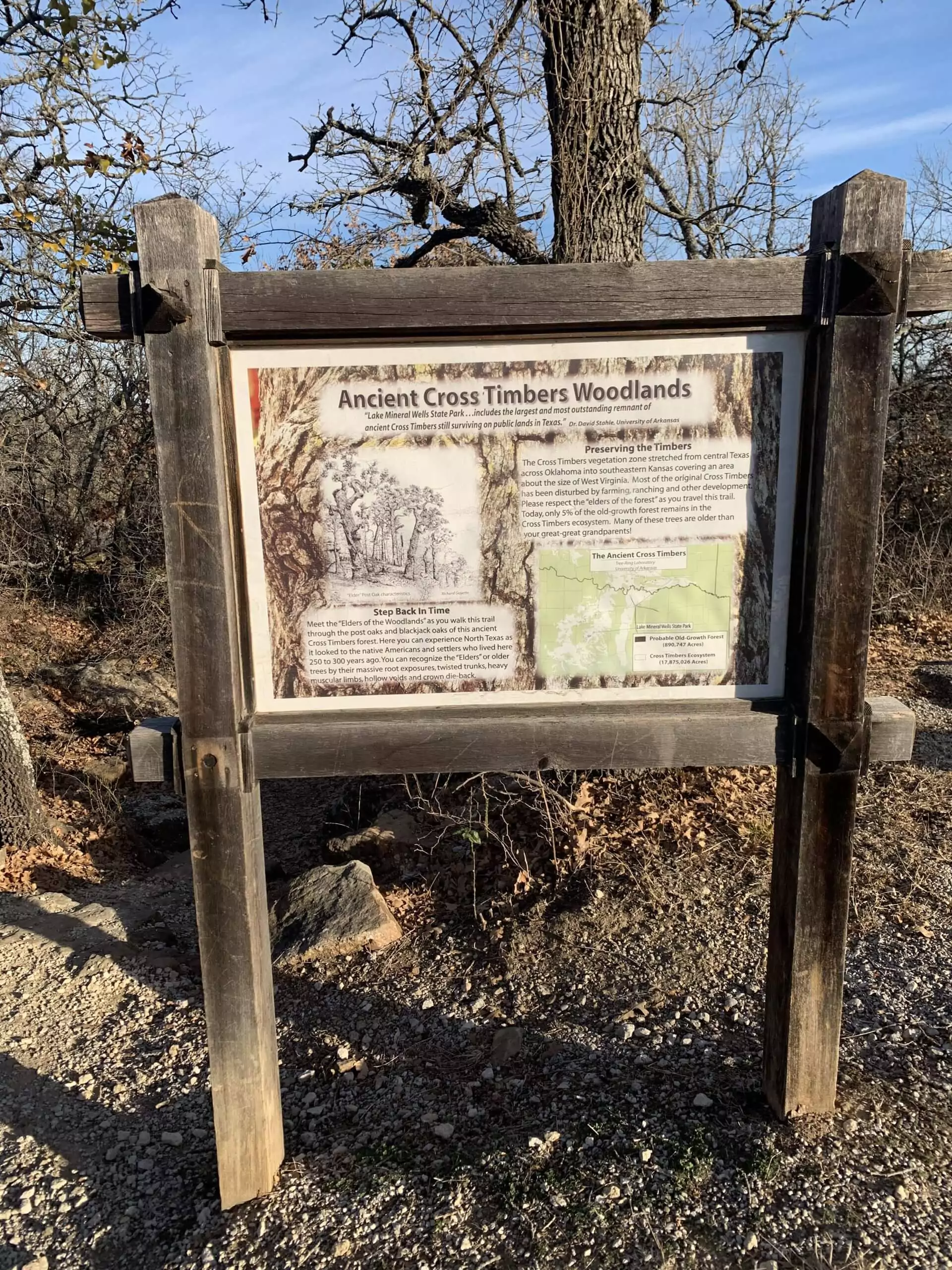 ancient cross timbers woodlands