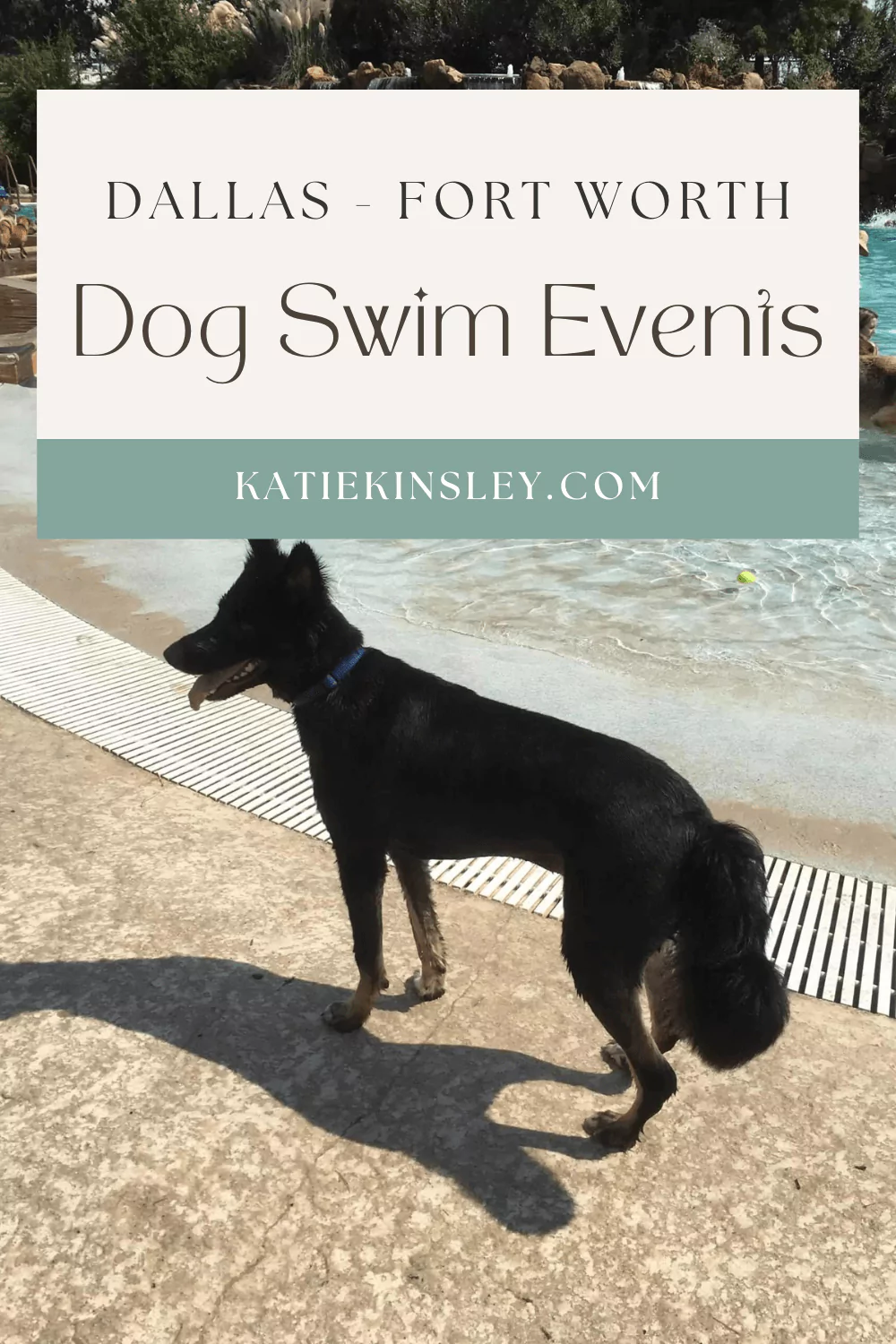 Dog Swim Days 2023 Pin