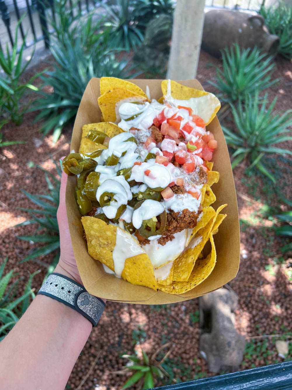 Explore the Diverse Dining Options at Epcot Mexico Nachos 