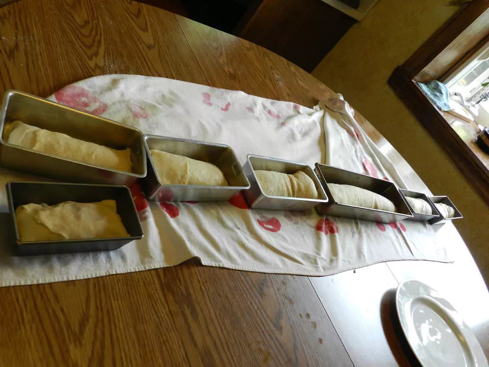 cut the pastry into loaves