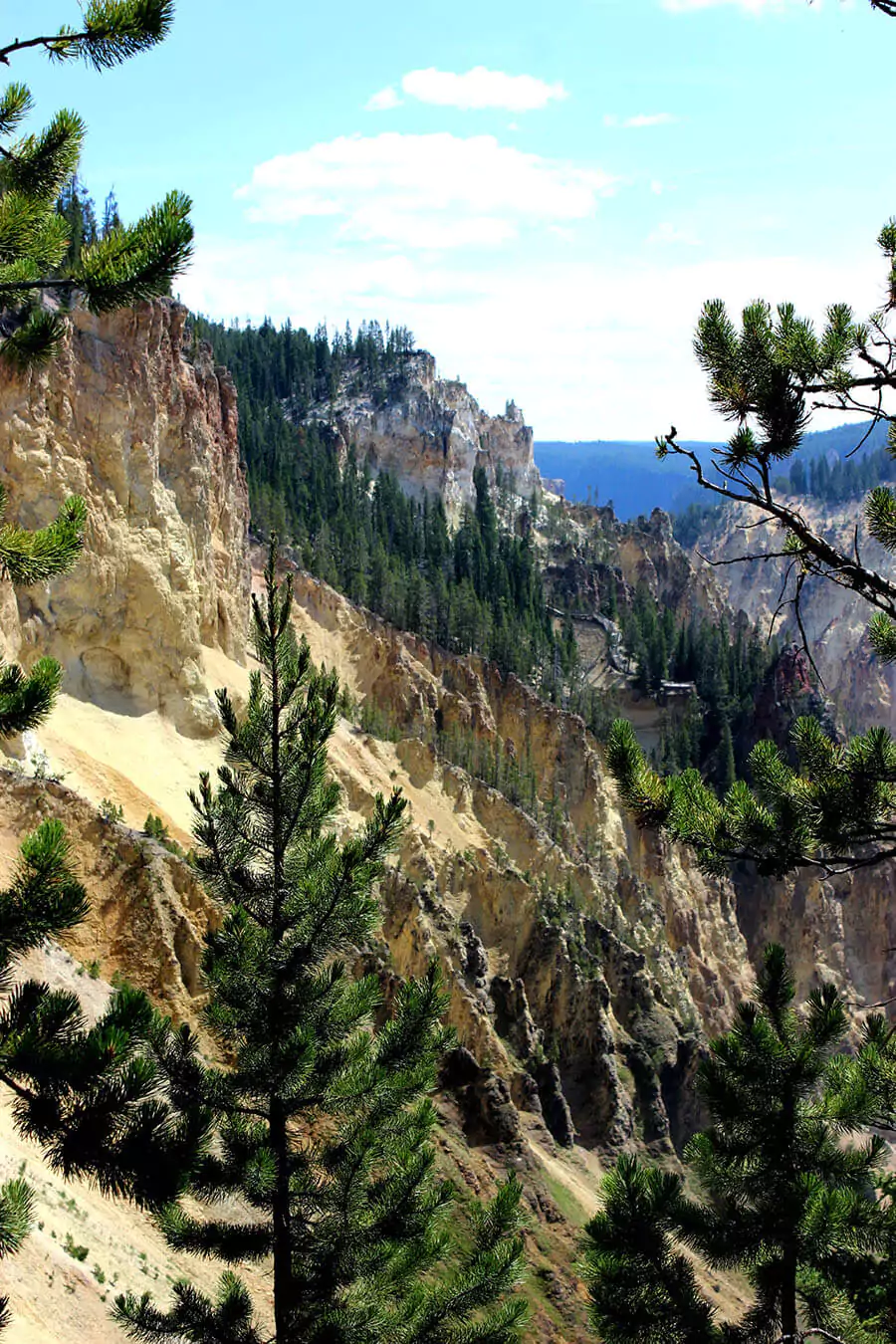 Grand Canyon in Yellowstone National Park