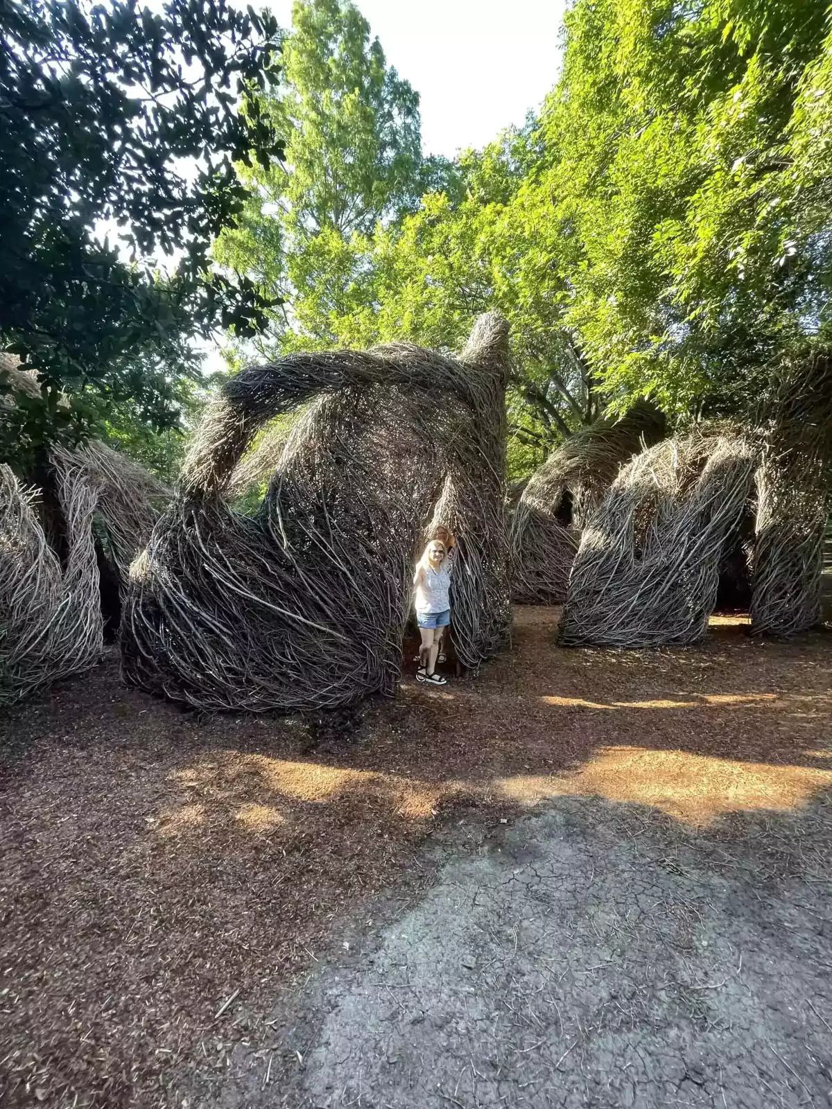 fort worth botanical garden