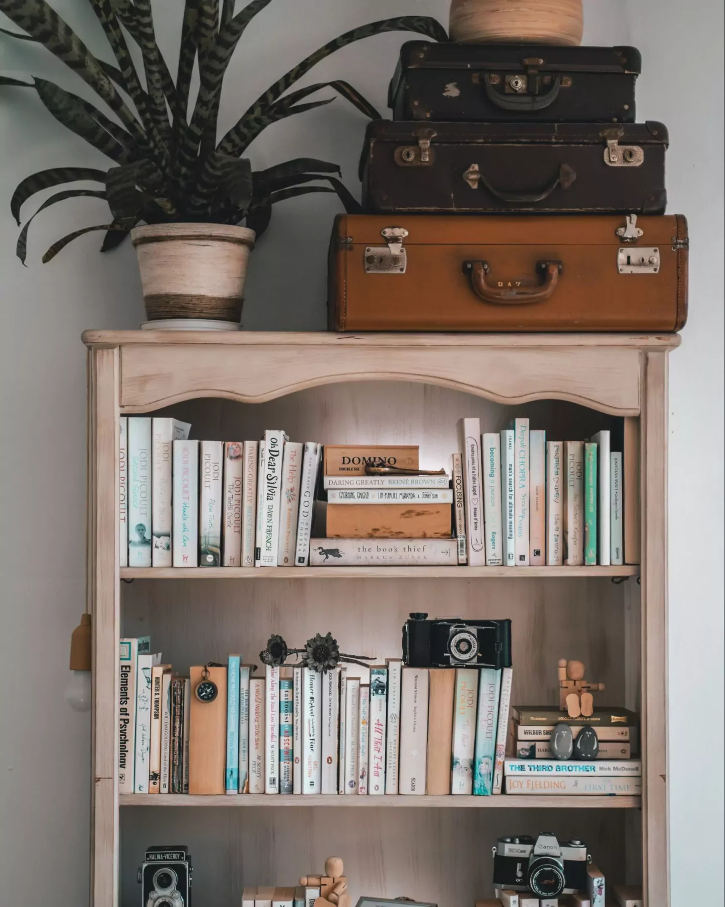 bookcase