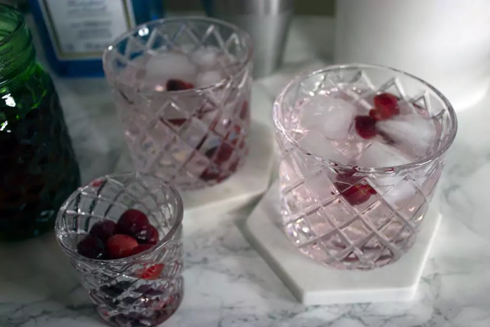 Gin and Tonic