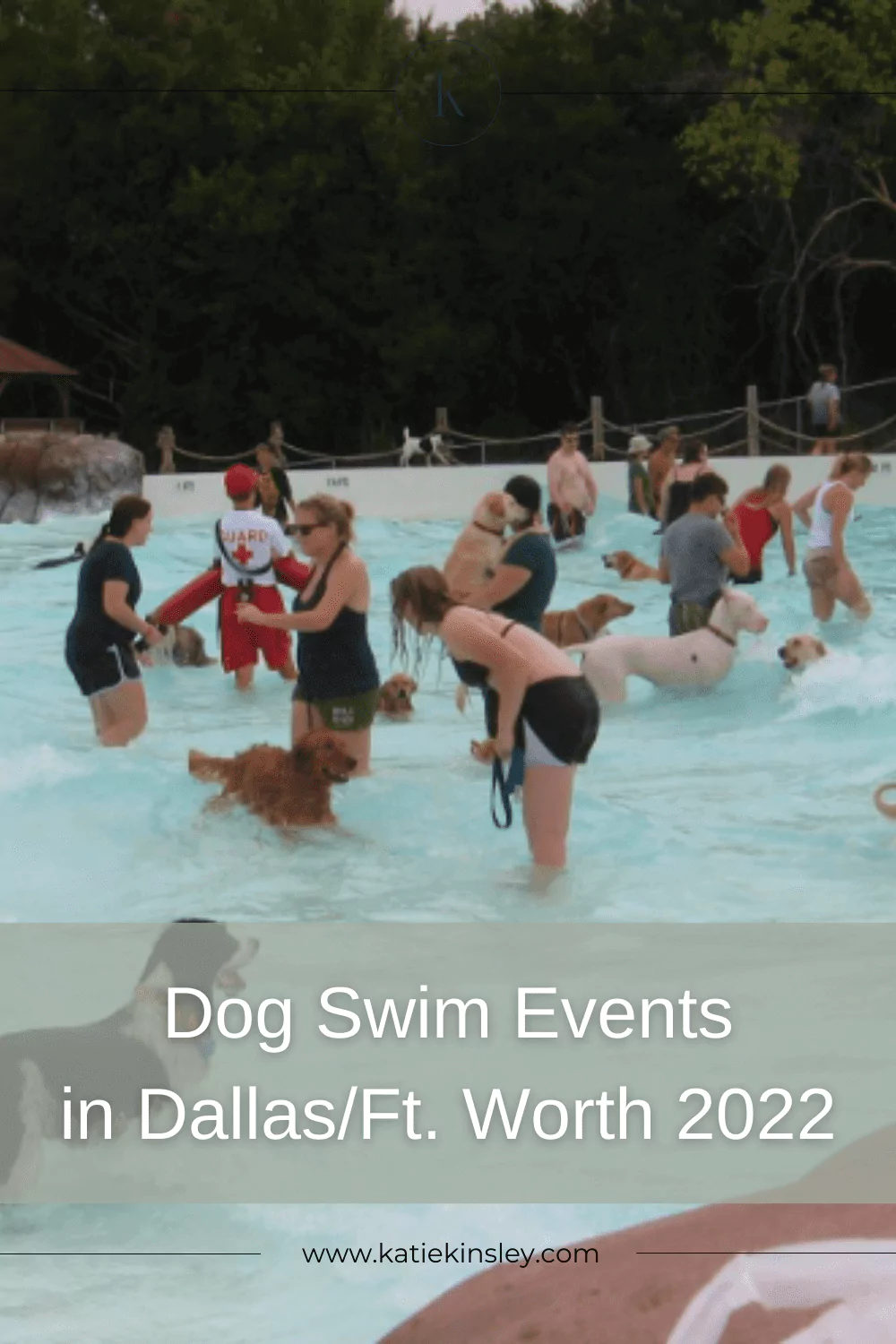Dog Swim Events 2022 Pin