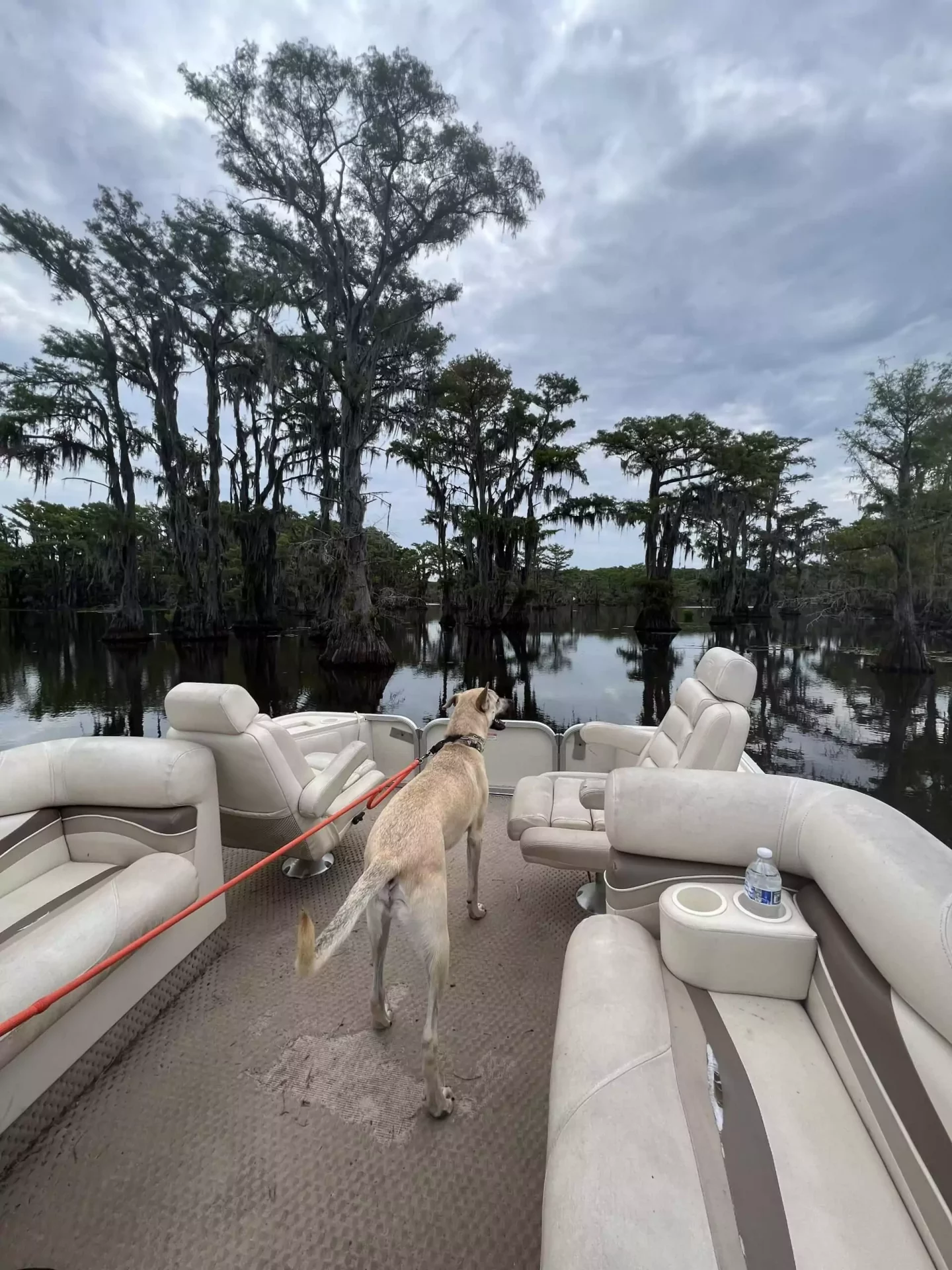 Caddo Lake Boat Tour Hank