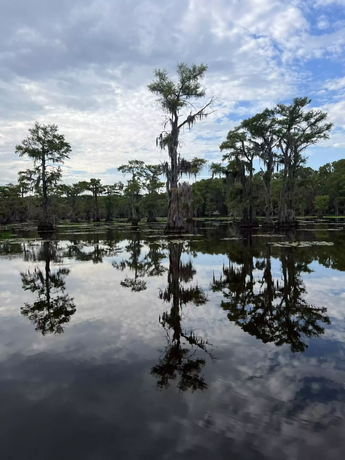 Things to do Near Caddo Lake Boat Views