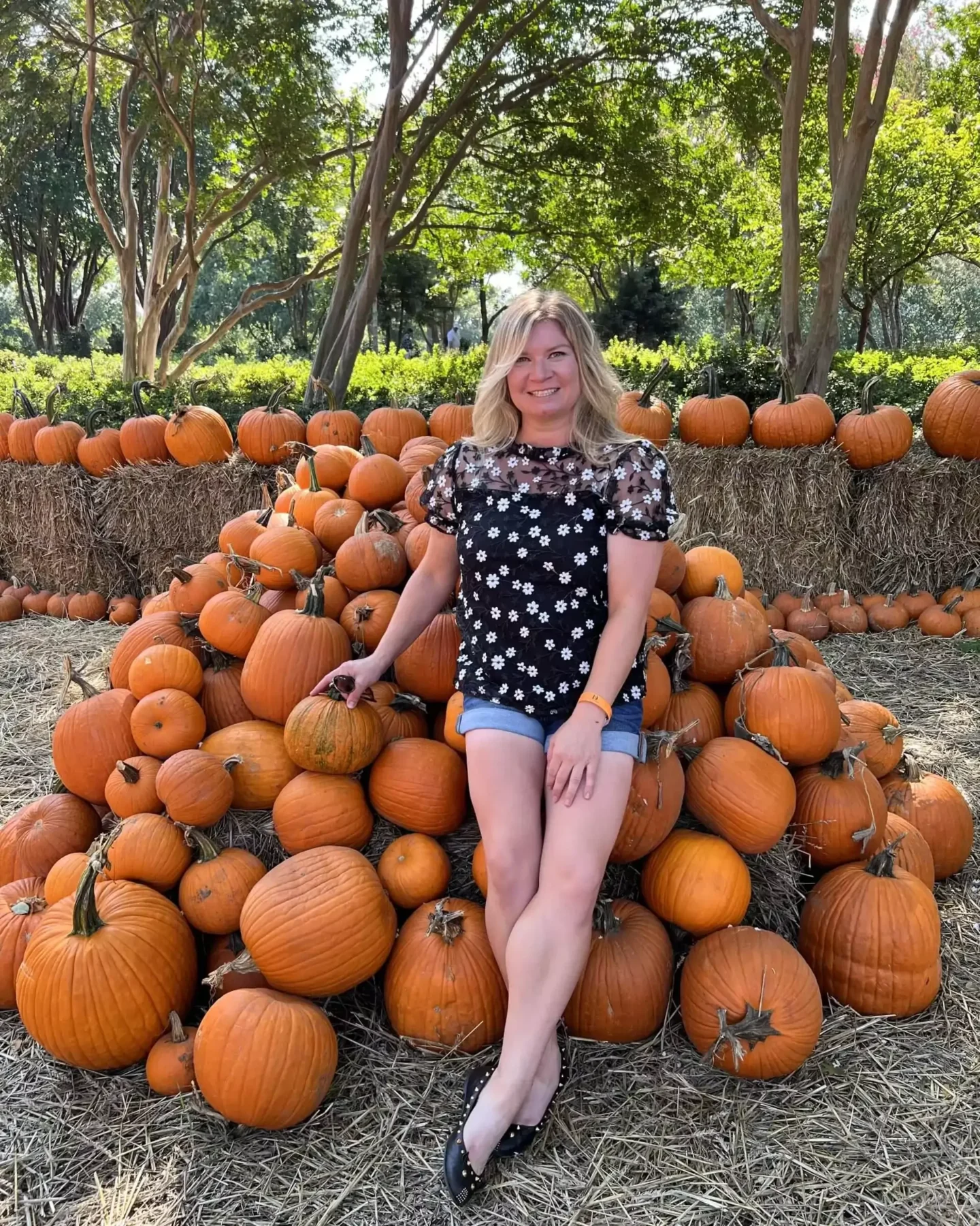 Autumn at the Arboretum