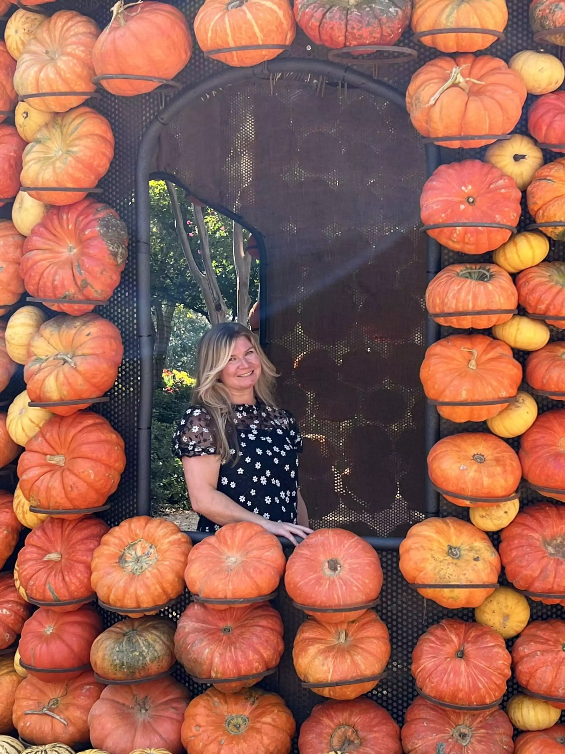 Katie Kinsley Autumn at the Arboretum