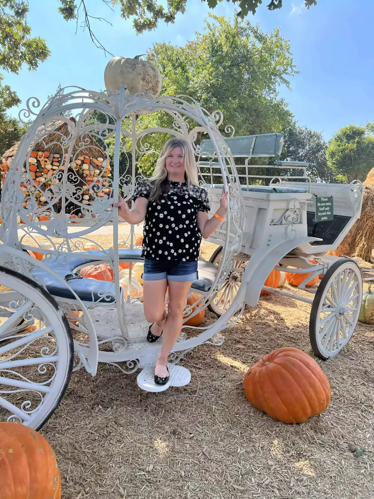atie Kinsley Autumn at the Arboretum Cinderella