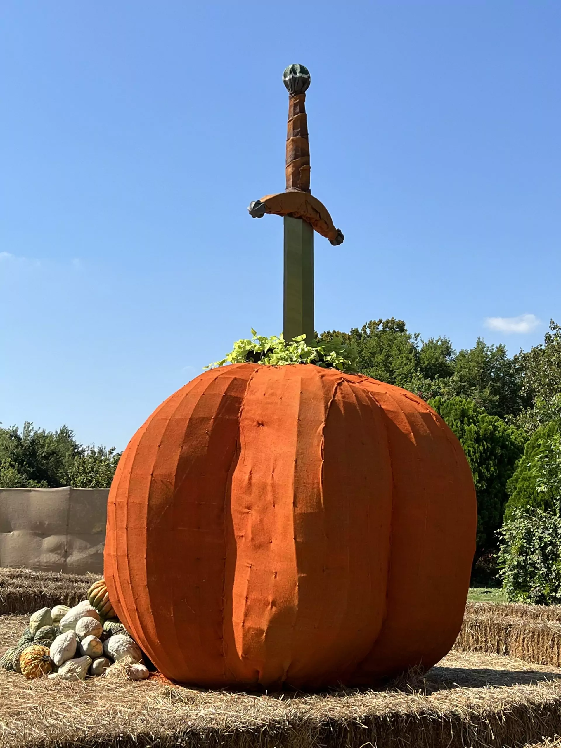 The Sword in the Stone
