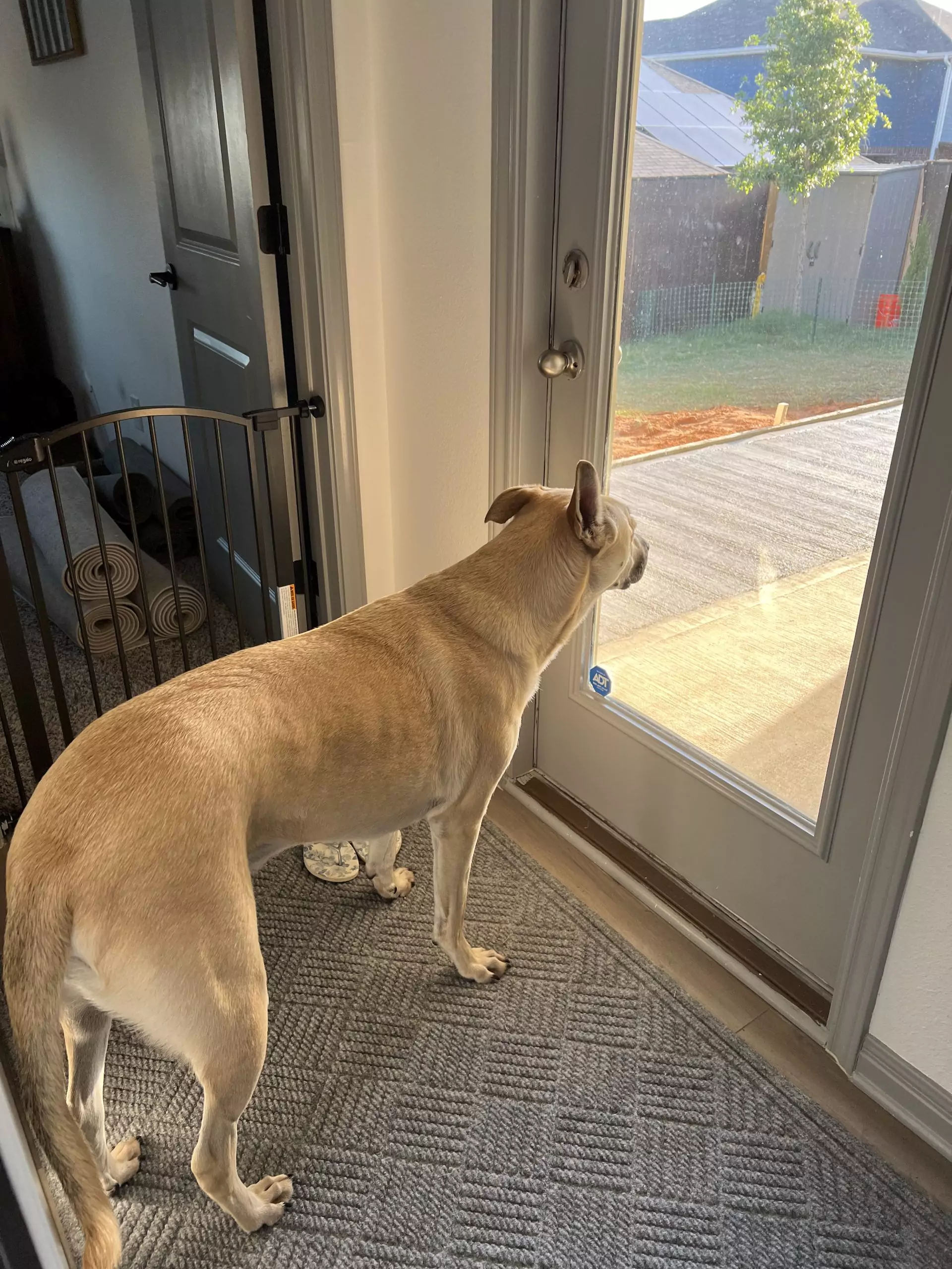 Monthly Life Update: April 2023