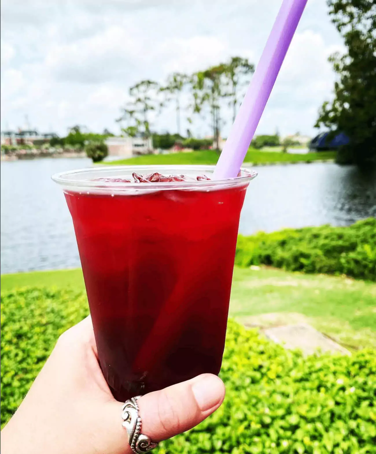 Honey Hibiscus Hard Iced Tea