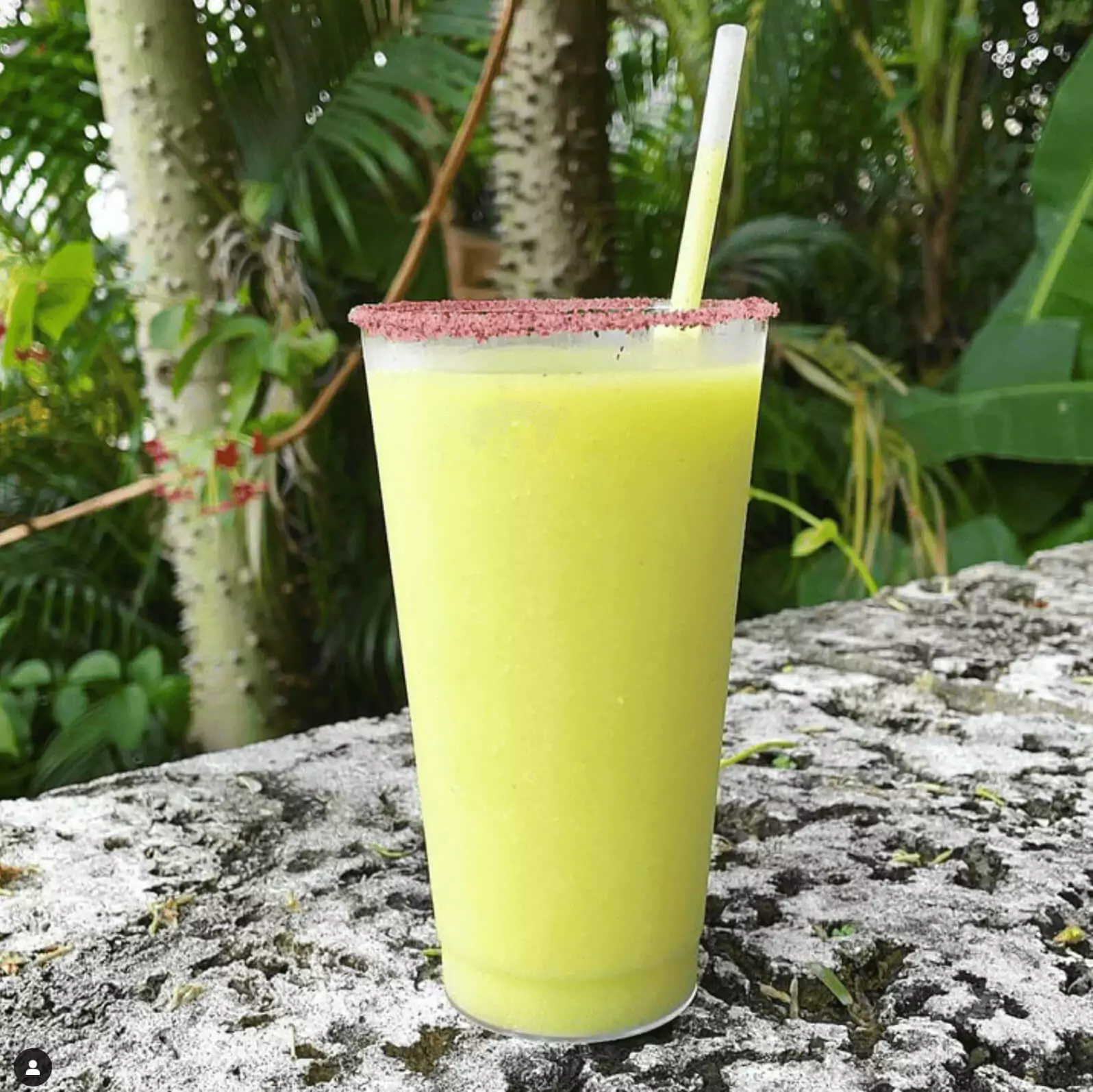 Avocado Margarita
