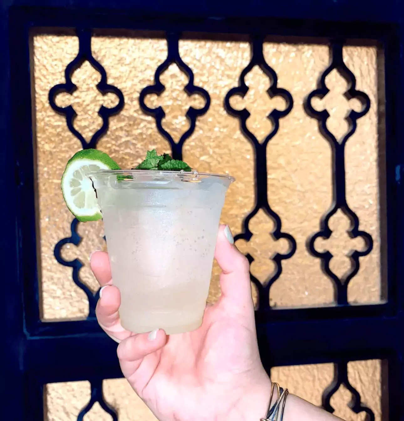 Moroccan Mule