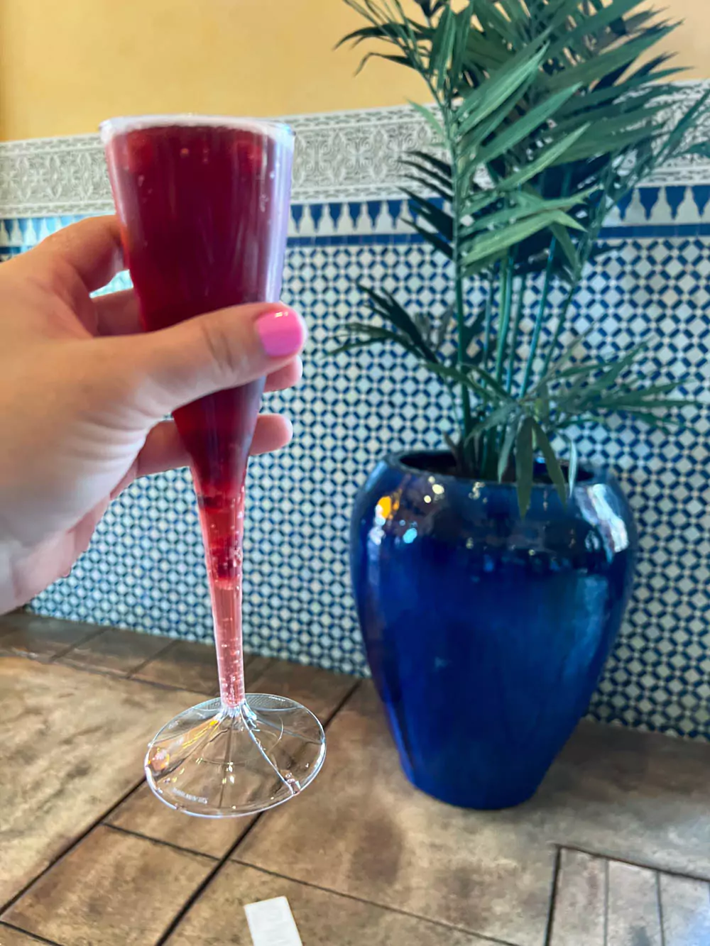 Pomengranate Mimosa in Morocco