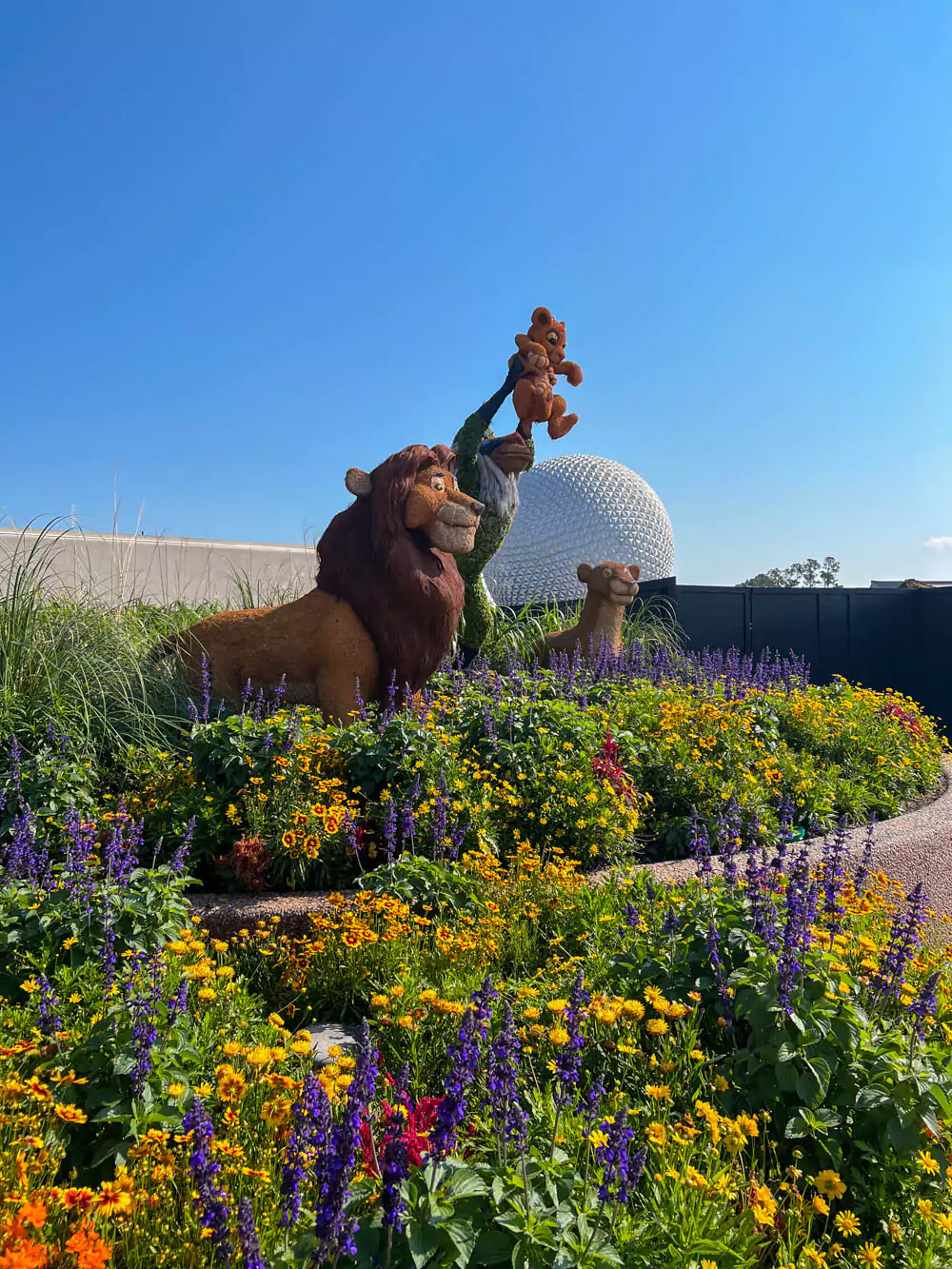 The Lion King