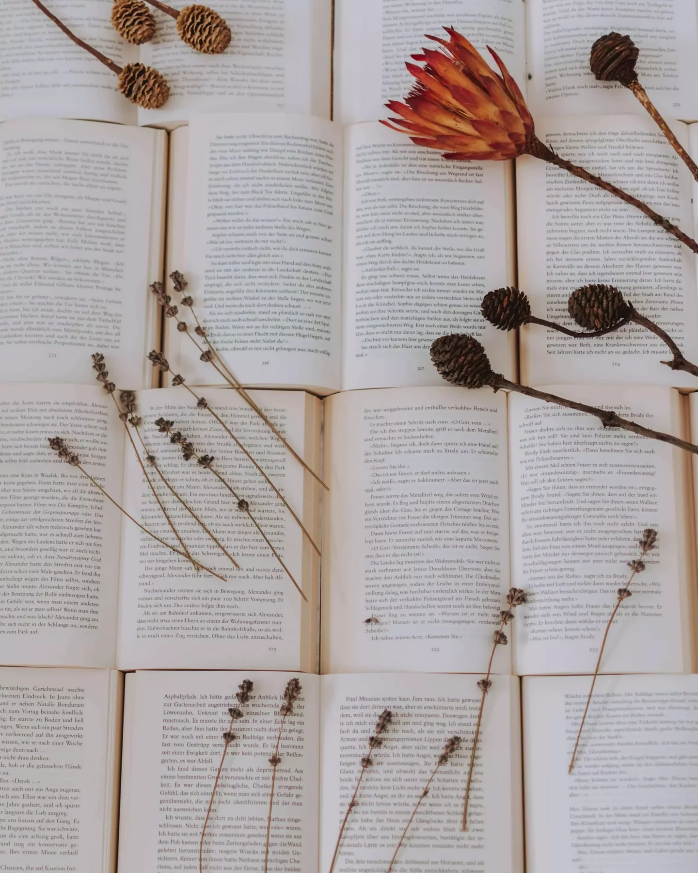 September 2023 Reading List Wrap Up