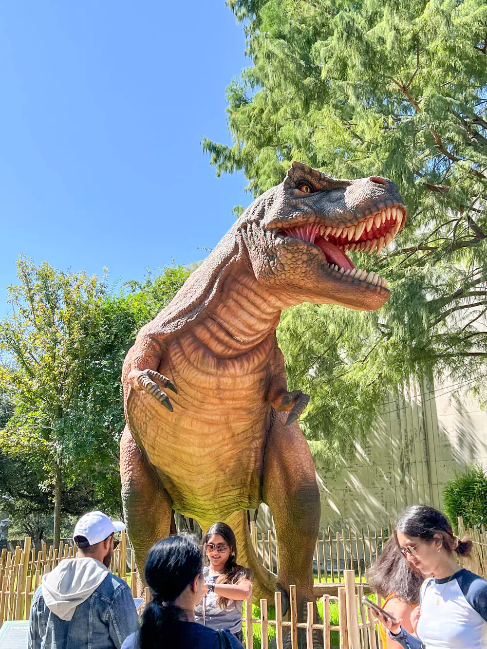 T Rex Dinosaurs at the Lagoon Dallas Fair Park