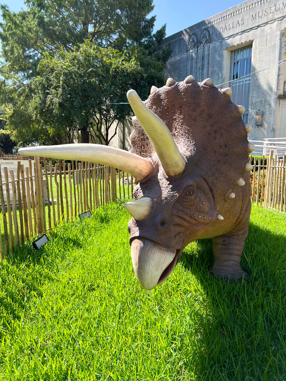 triceratops Dinosaurs at the Lagoon Dallas Fair Park