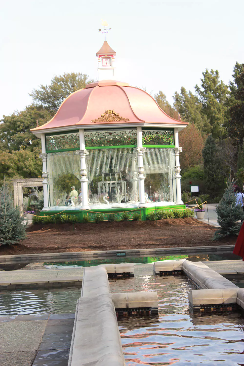 Dallas Arboretum 12 Days of Christmas Seven Swans a Swimming