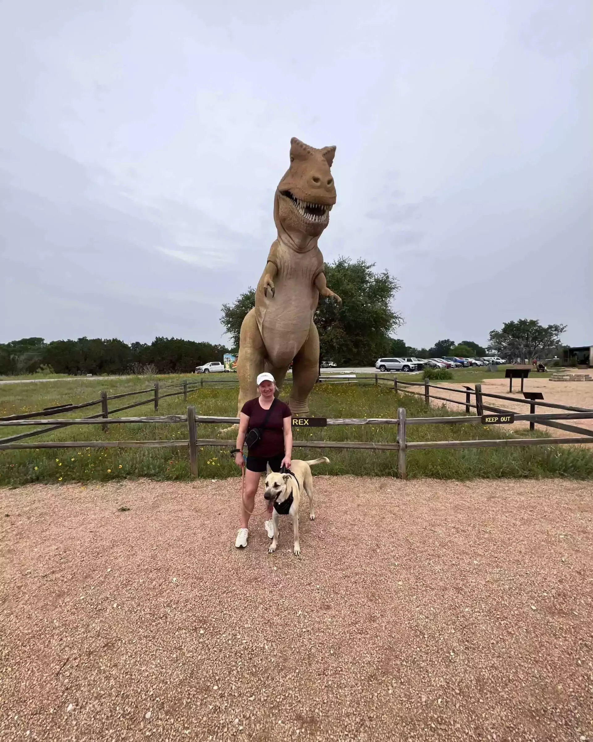Katie and dog Hank standing in front of the t rex statue at dinosaur valley state park