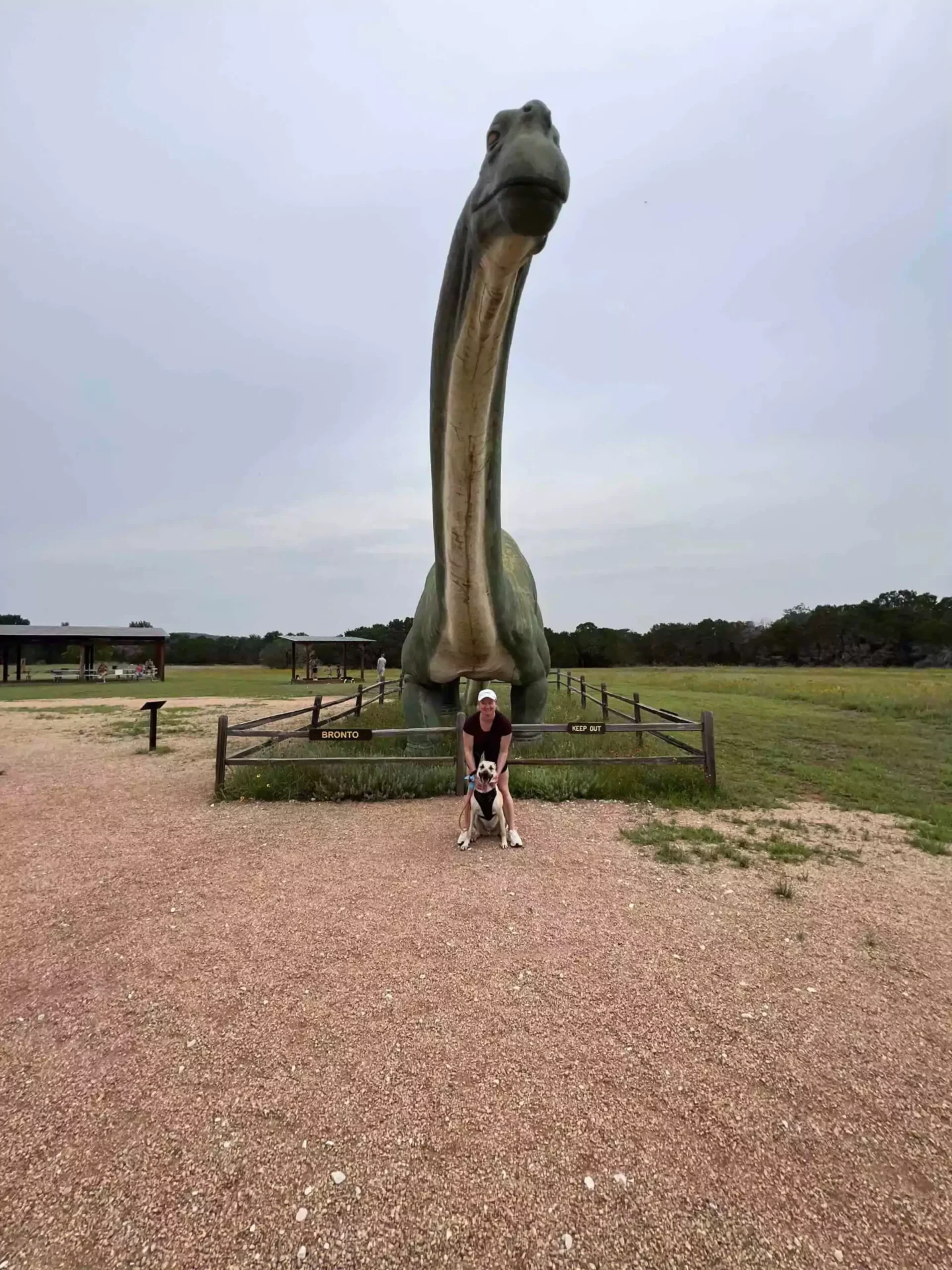 Katie with dog Hank standing in front of Bronto the long neck statue at dinosaur valley state park