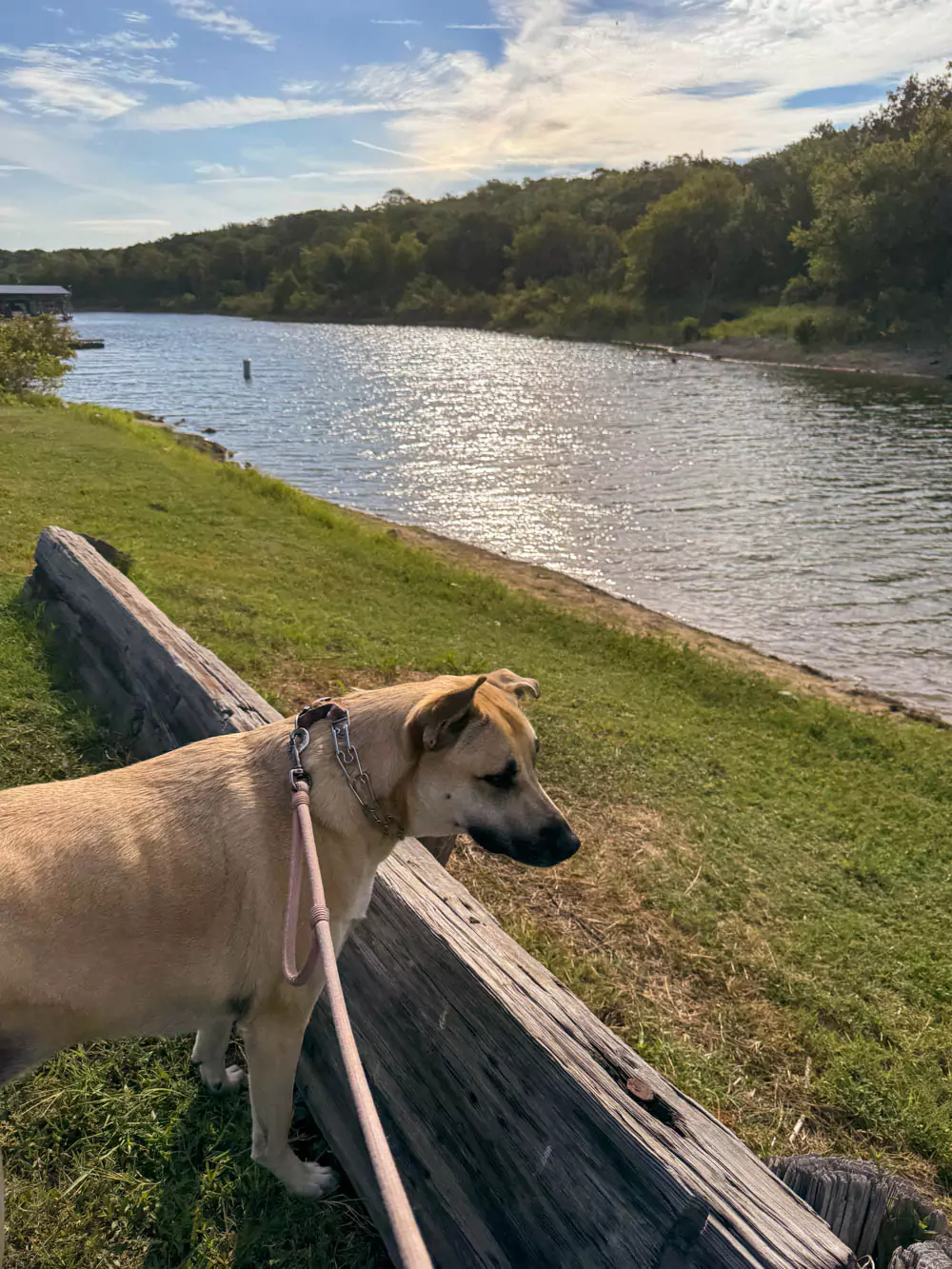 Hank at Eisenhower State Park boat launch 4