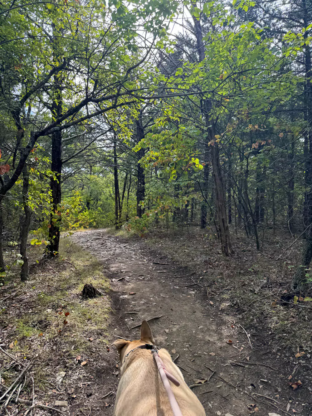 Hank on Armadillo Hill Trail at Eisenhower State Park