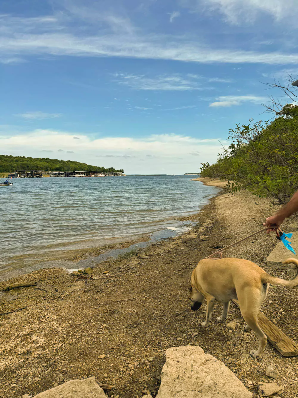 Hank on Buttonbush scenic point at Eisenhower State Park