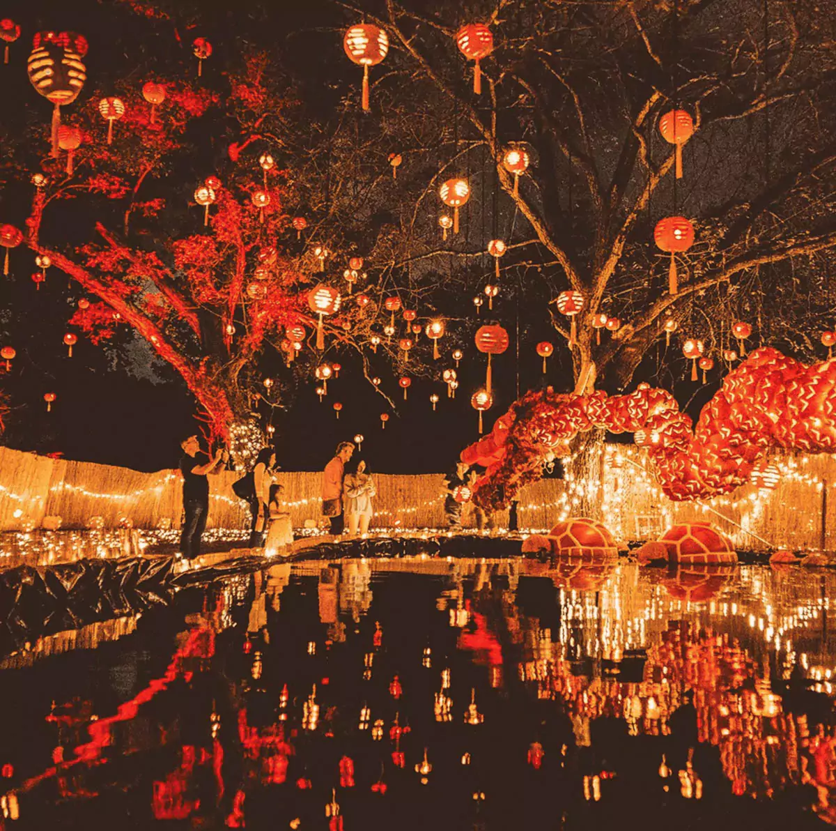 pumpkin nights