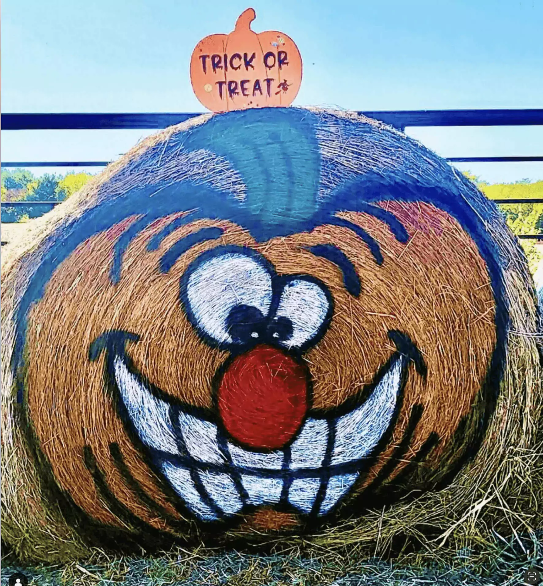 Storybook Pumpkin Patch