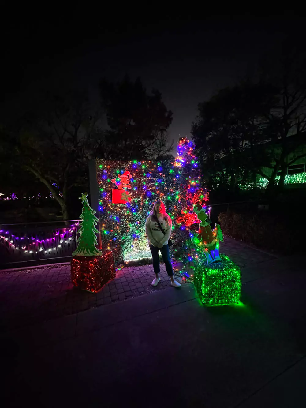 The grinch exhibit at Dallas Zoo Lights