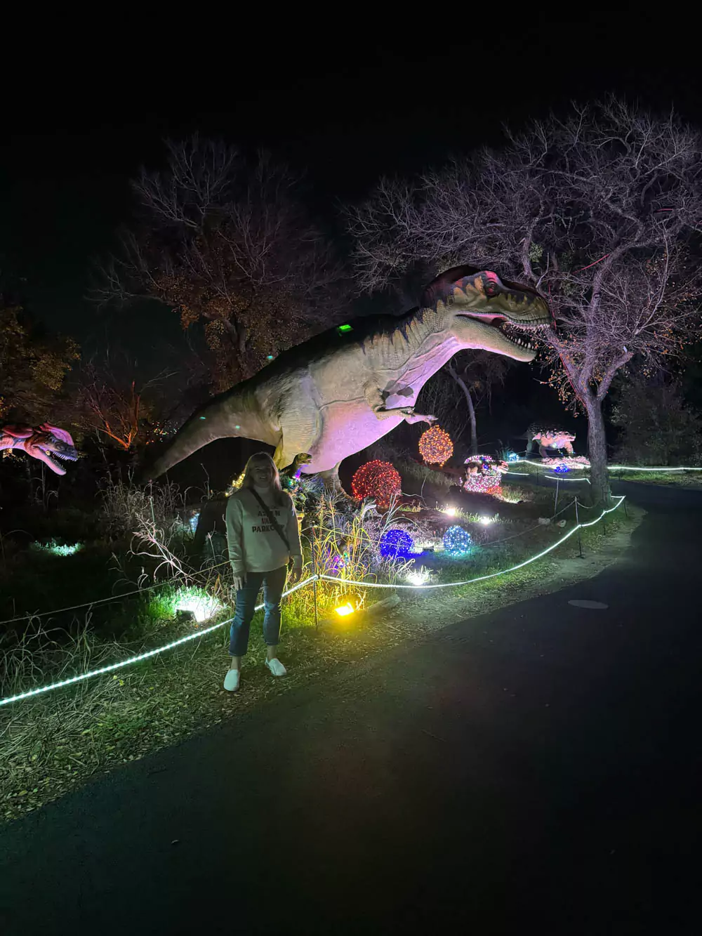 Katie and Trex Dinosaur at the Dallas Zoo Lights
