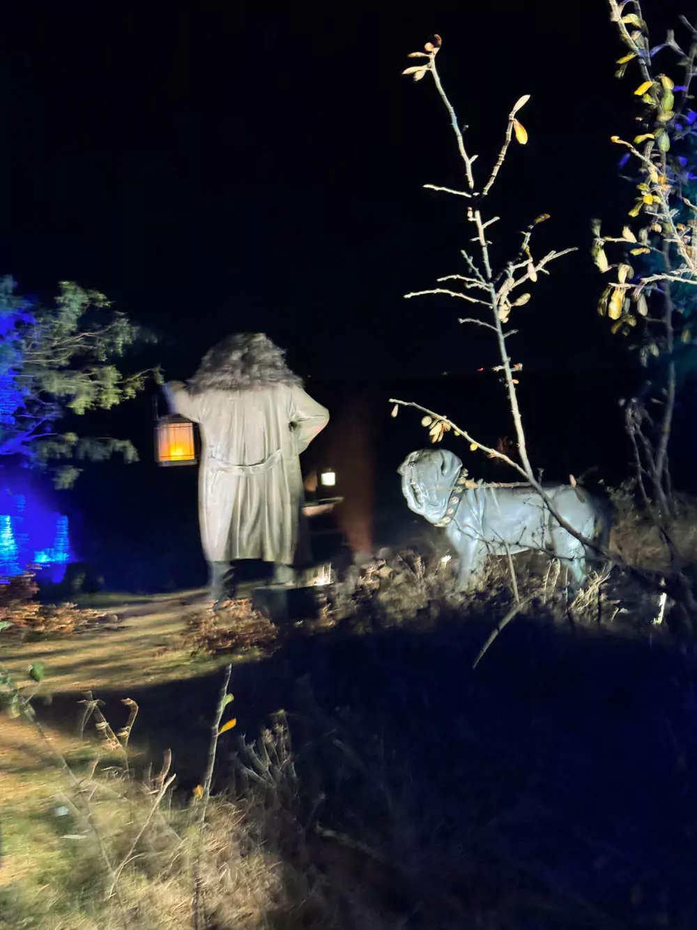 Harry Potter Forbidden Forest Experience - Hagrid