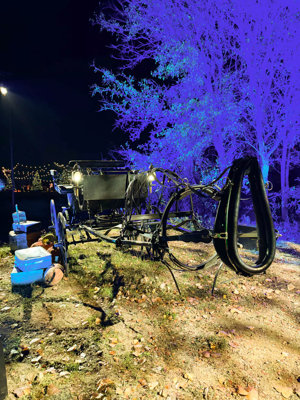 Harry Potter Forbidden Forest Experience Horseless Carriage