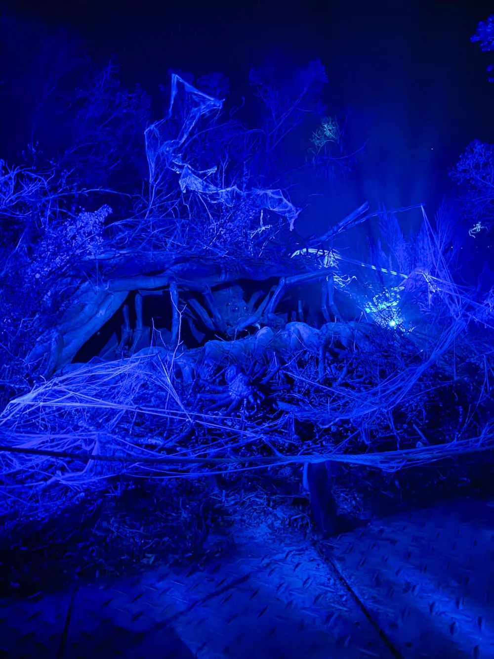 Harry Potter Forbidden Forest Experience - Aragog