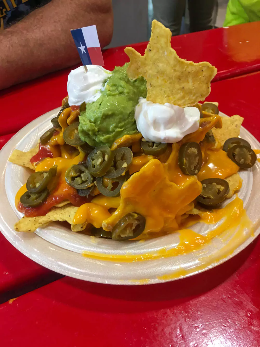 Texas Shaped Nacho Chip