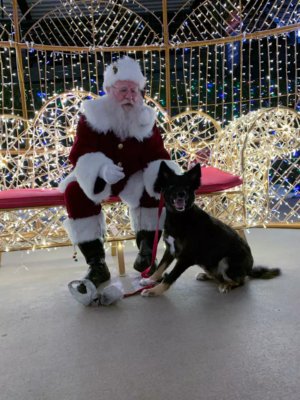 Santa and Colt at Globe Life Park